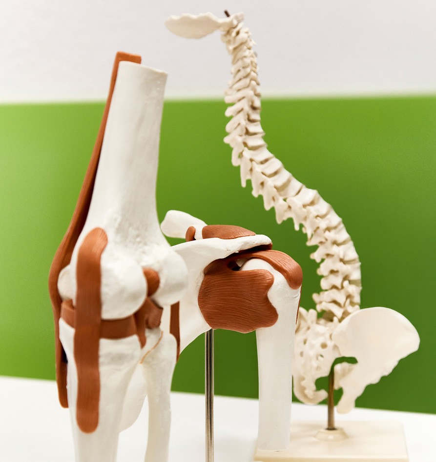 Bereichern Sie unser Team