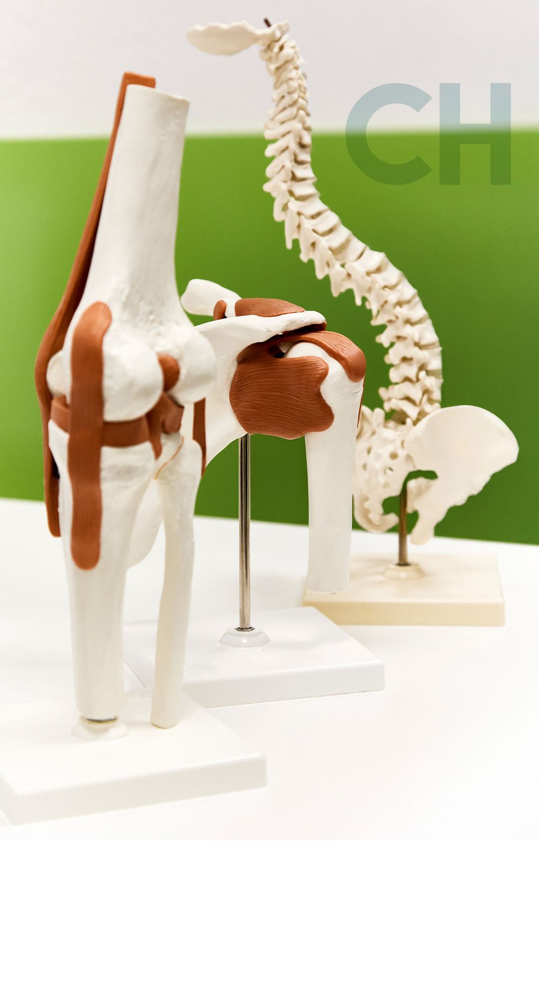 Erstklassige Beratung und effiziente Therapiekonzepte